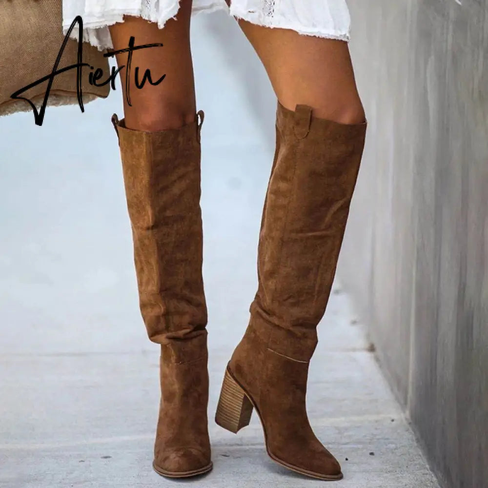 Women Suede Knee High Boots Ladies Solid Pointed Toe Tall Boots Retro Roman High Heels Shoes Female Autumn Winter Long Boot Aiertu