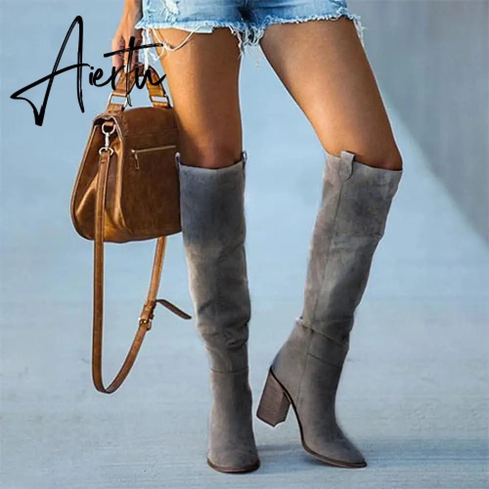 Women Suede Knee High Boots Ladies Solid Pointed Toe Tall Boots Retro Roman High Heels Shoes Female Autumn Winter Long Boot Aiertu